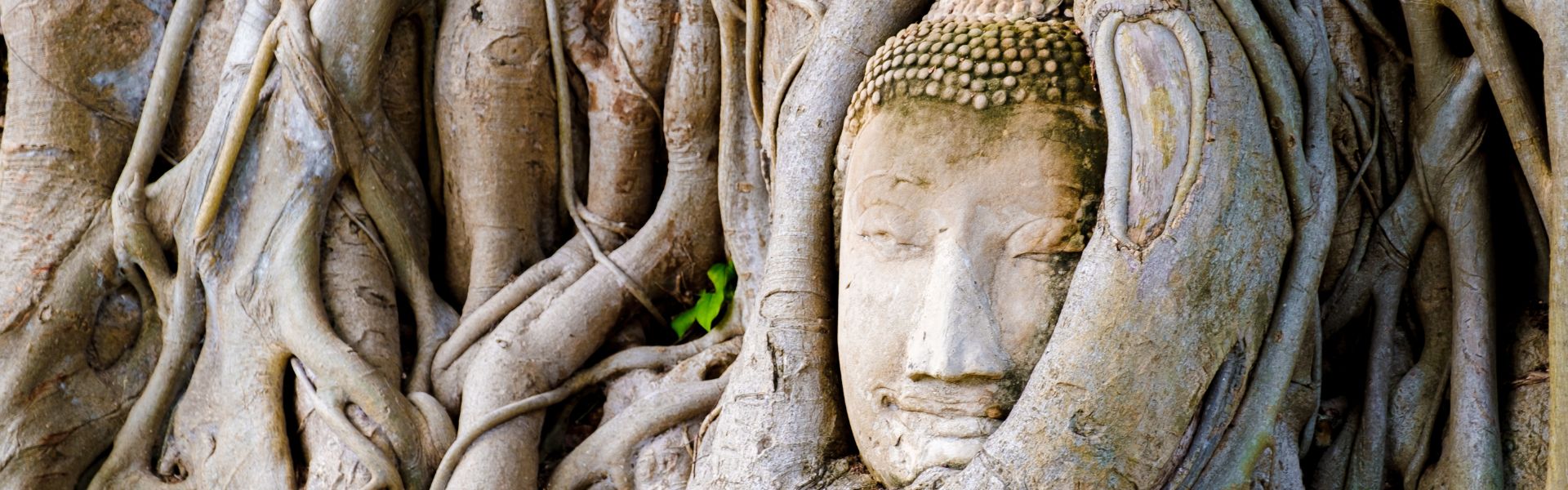 Ayutthaya - Consejos de viaje | Guía de viajes a Tailandia