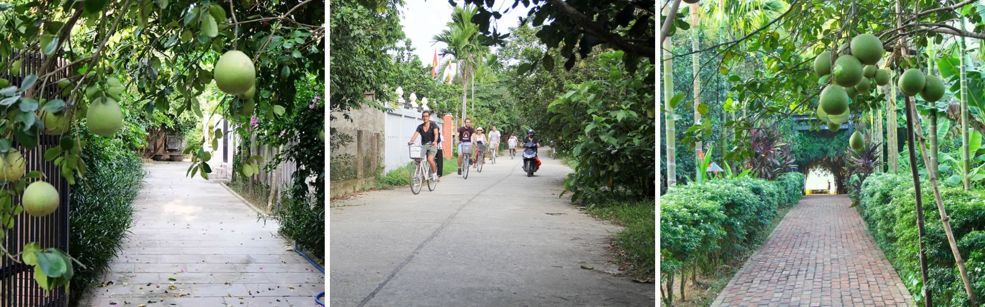 Eco-aldea de Thuy Bieu