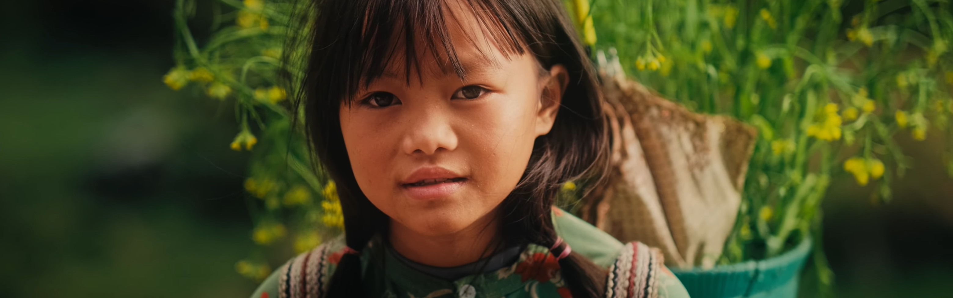 Viaje auténtico al Noreste de Vietnam