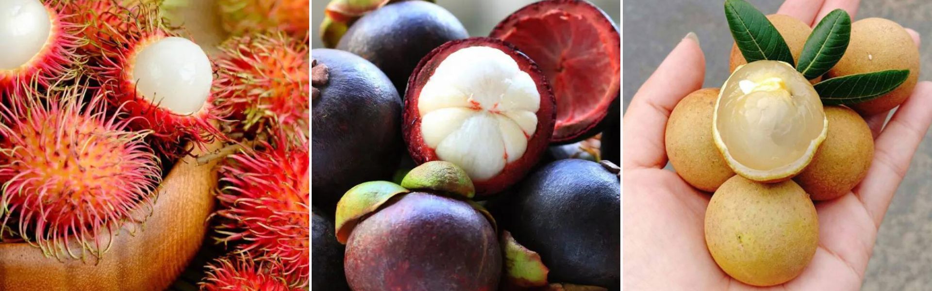 Las 20 mejores frutas de Vietnam que deben degustar