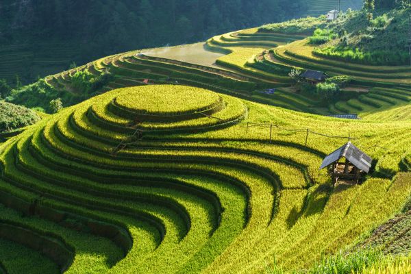 09 mejores lugares para admirar arrozales en Vietnam