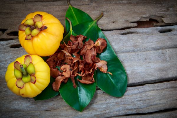 Los increíbles beneficios de la fruta Garcinia Cambogia