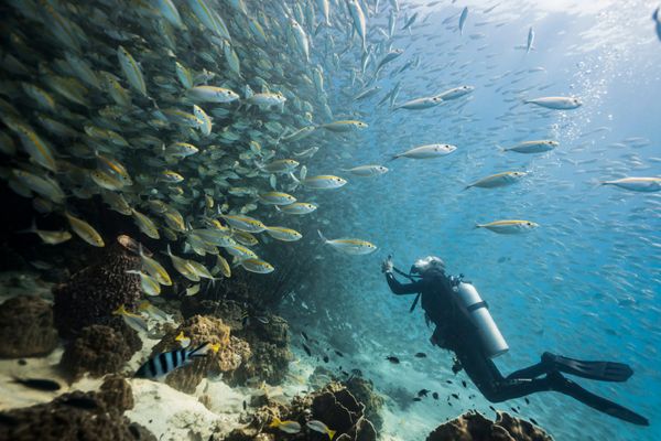 Koh Kood, Tailandia: Última experiencia y guía de viaje 2024