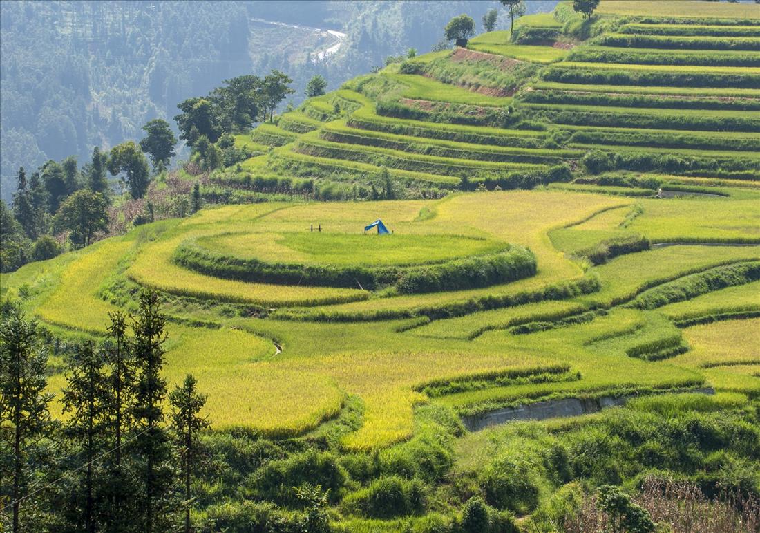 8 mejores lugares para admirar arrozales en Vietnam: Bac Ha