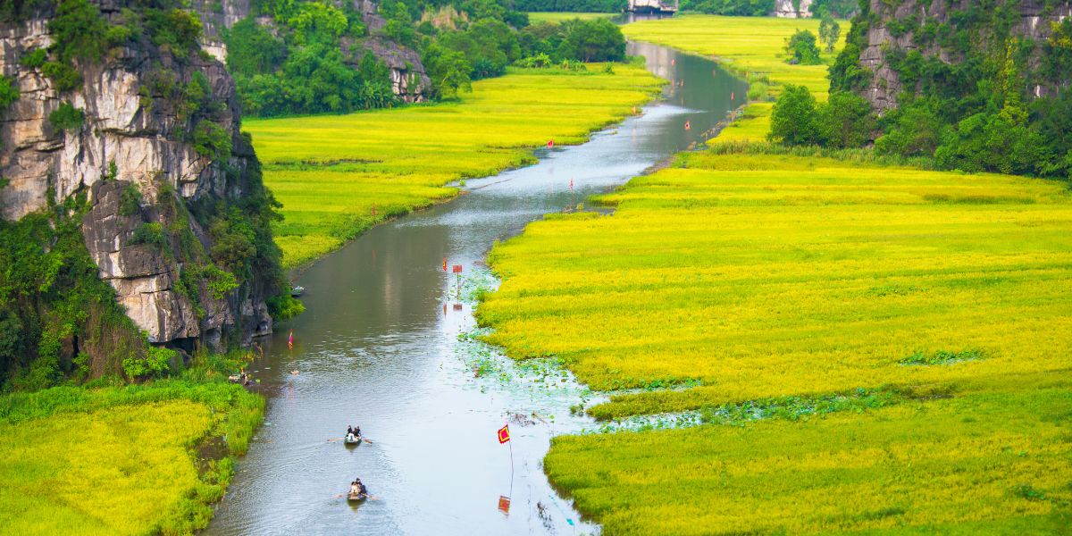 8 mejores lugares para admirar arrozales en Vietnam: Tam Coc