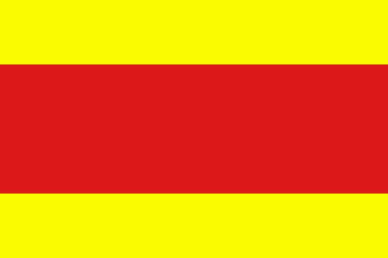 Bandera de Long Tinh, Bandera Nacional de Dai Nam