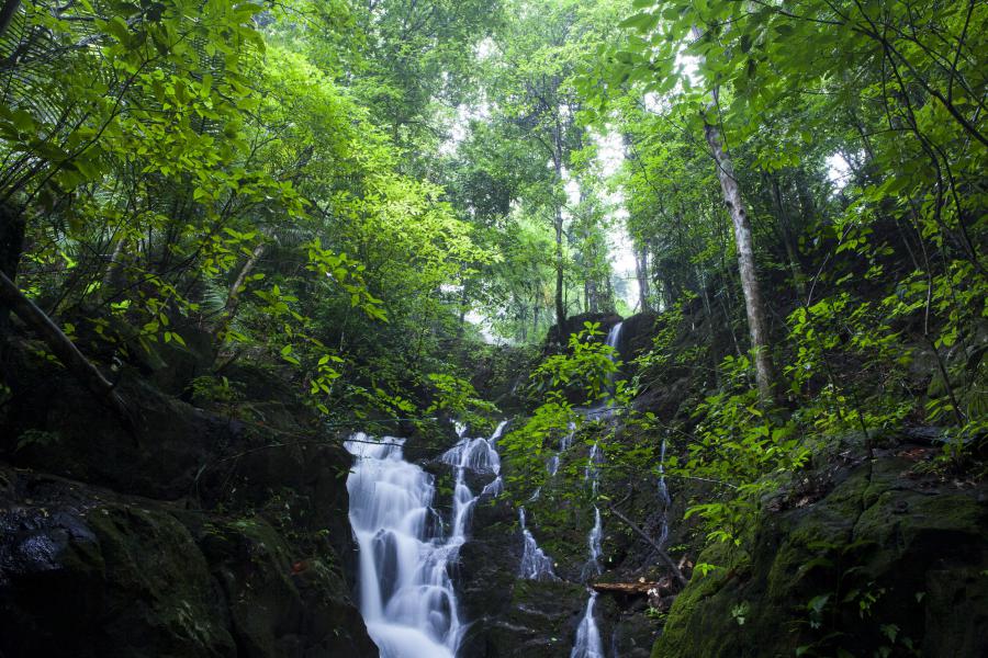 Cascade de Ton Sao, Parque Nacional Khao Phra Thaeo, Phuket