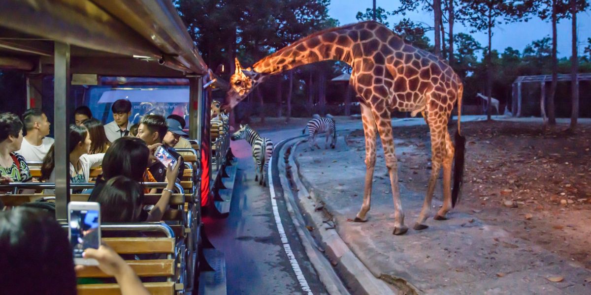 Chiang Mai Night Safari