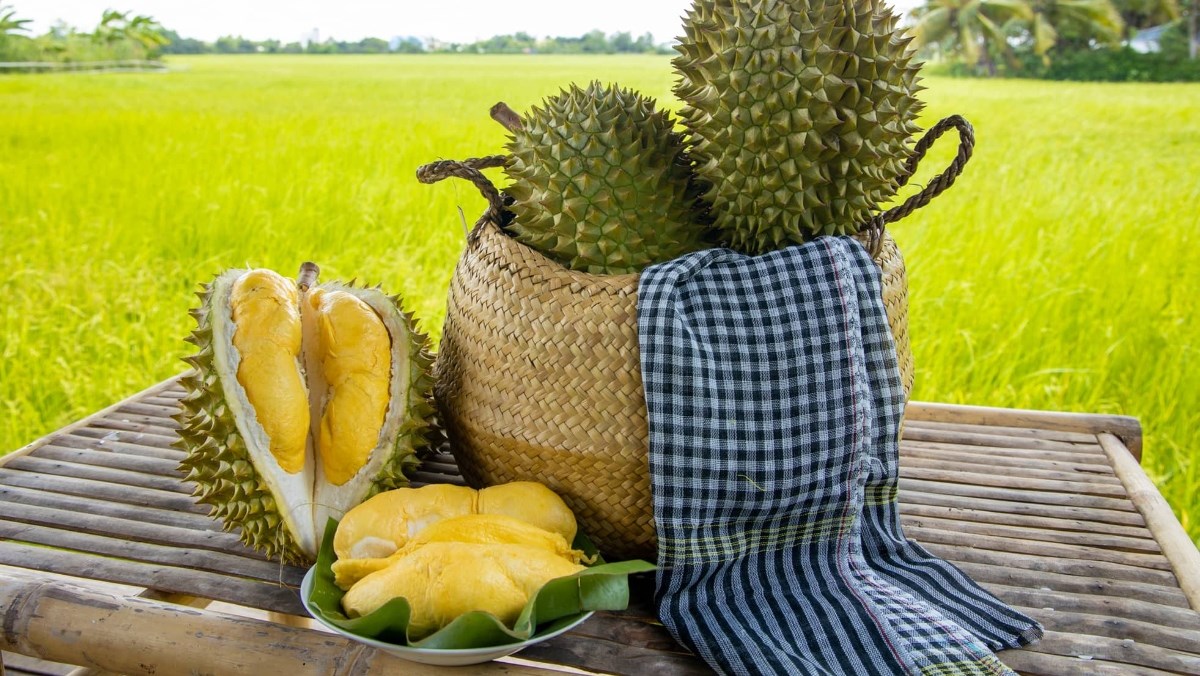 Fruta vietnam: Durián