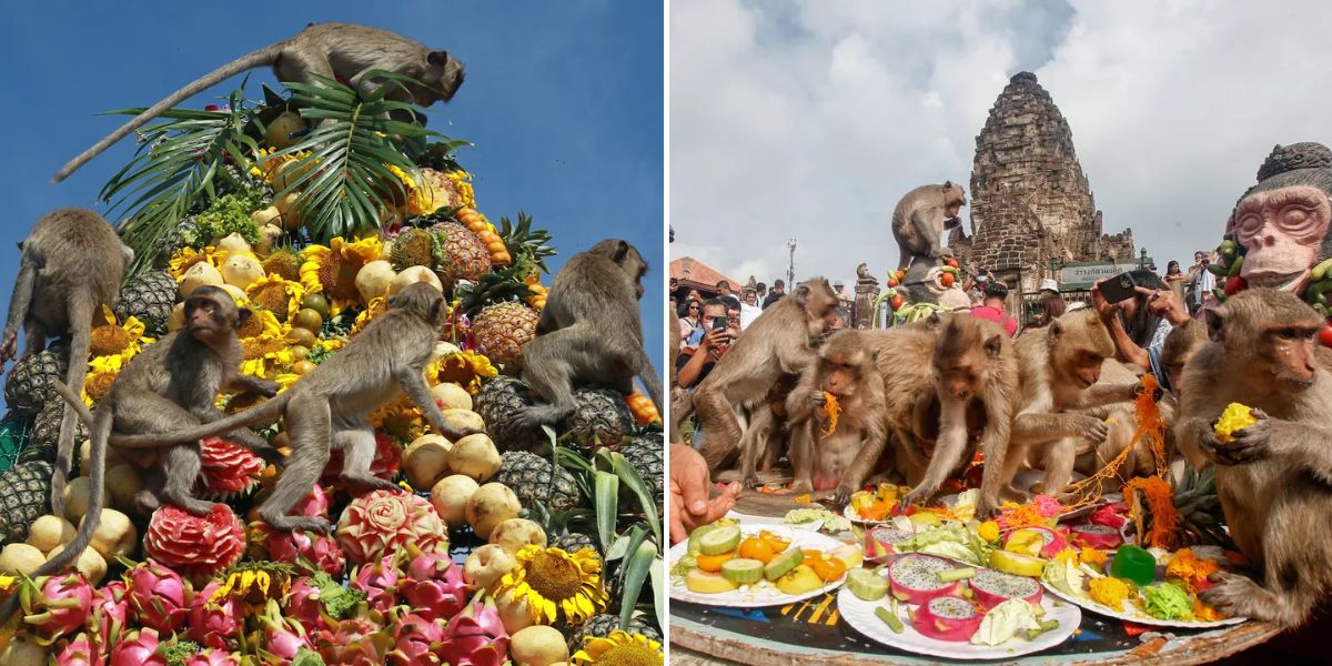 Fiesta de los Monos de Lopburi