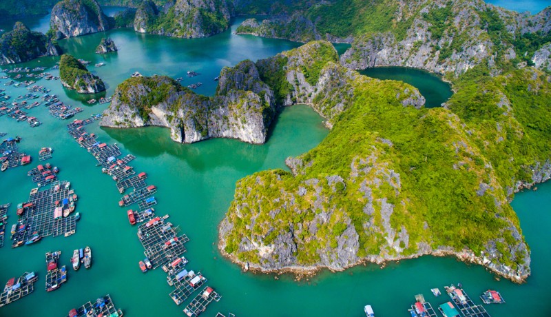 Descubrir la vida flotando en la bahía de Halong