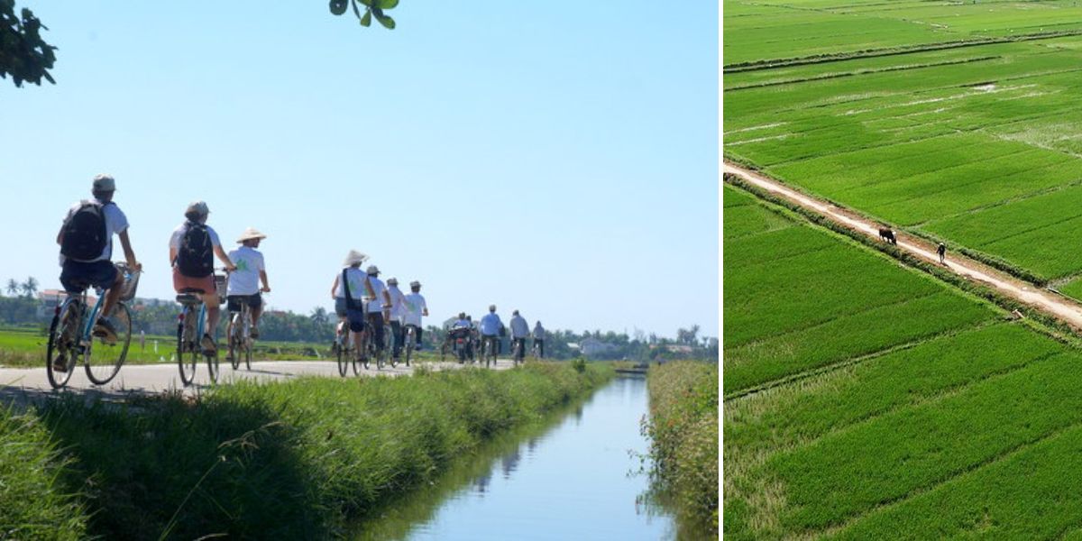 Pasear en bicicleta por los arrozales en Hoi An