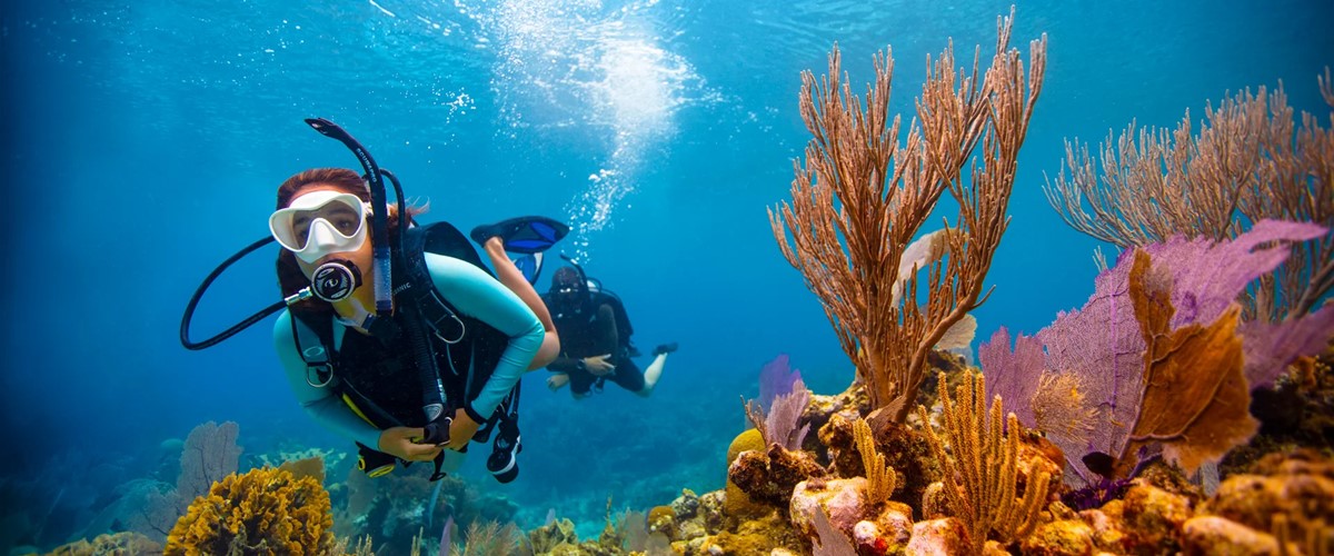 Experiencias emocionantes en la isla de Koh Kood