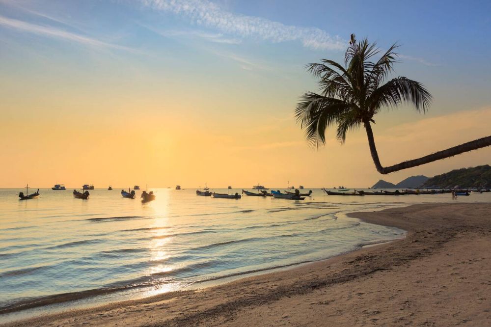 Qué hacer en Koh Tao: Sumérjase en el ambiente festivo de la playa Sairee