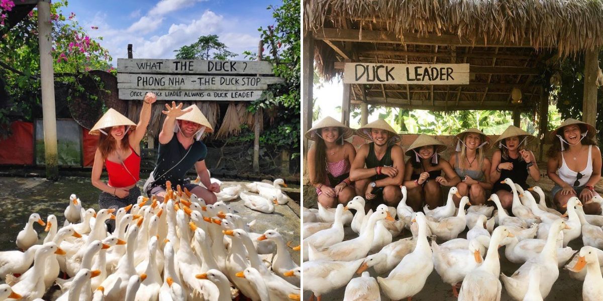 Que hacer en Vietnam: Masaje con patos