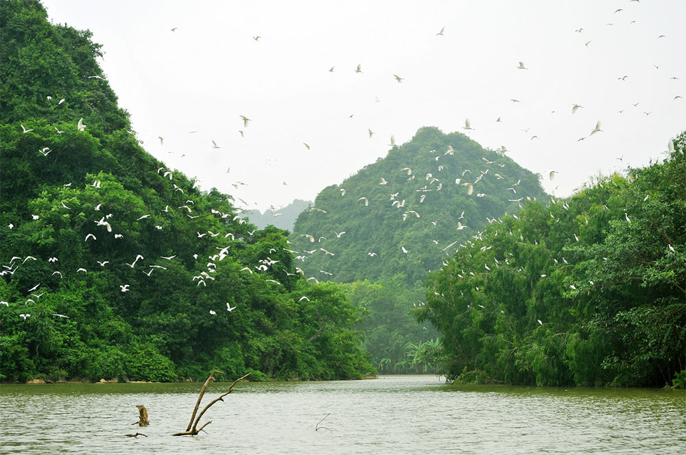 Parque de Aves Thung Nham