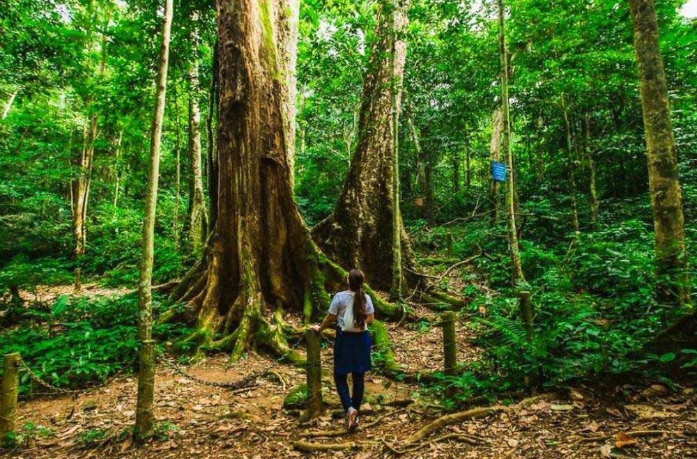 Parque Nacional de Cuc Phuong