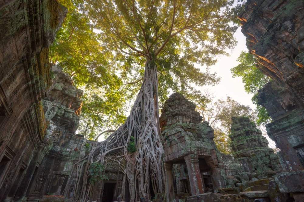 ¿Por qué deberíamos visitar Siem Reap?