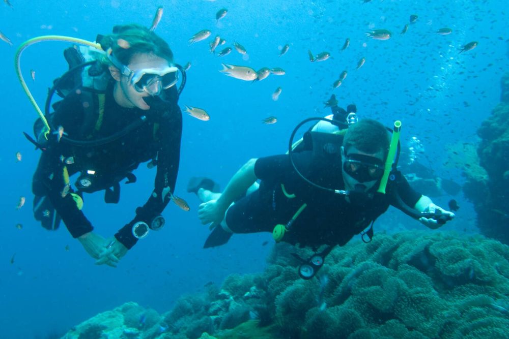 Koh tao