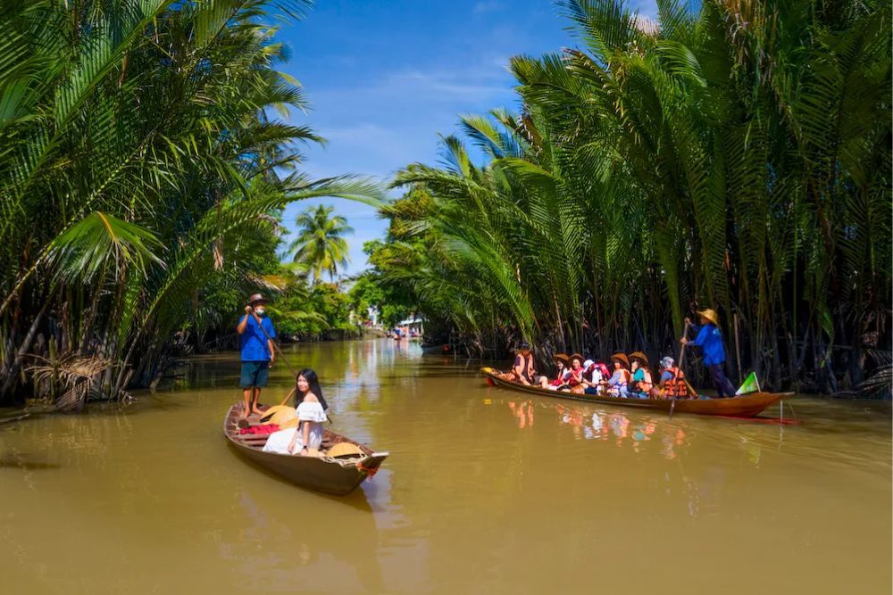 Vida local en el manglar