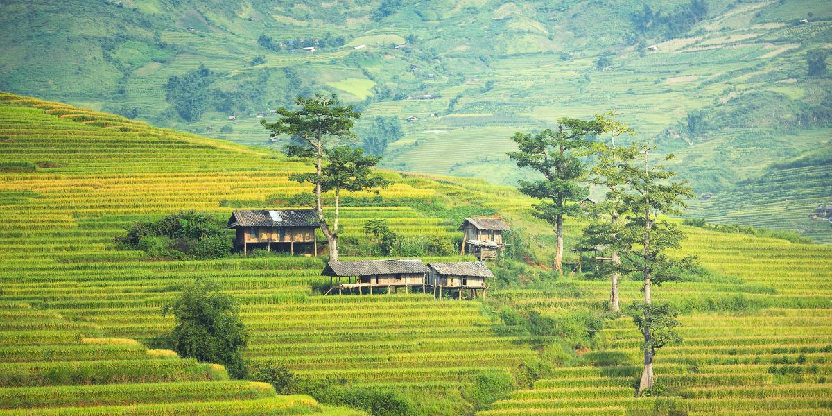 El norte de Vietnam en julio: Sapa