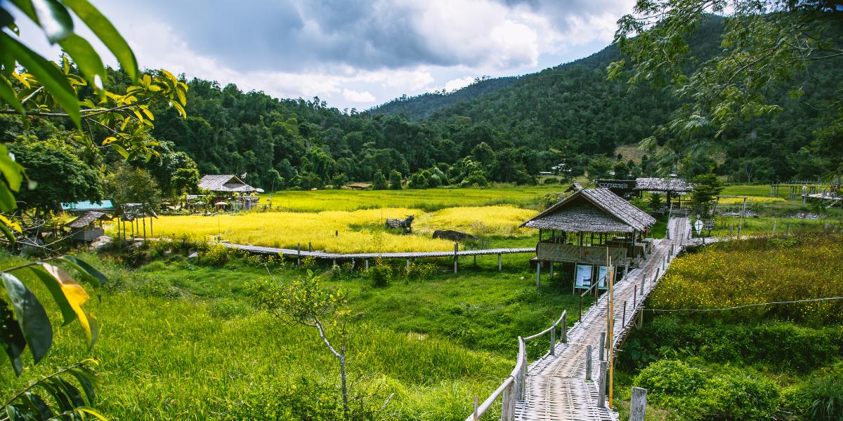 ¿Cómo planificar el presupuesto de su viaje a Tailandia?: Elegir el destino