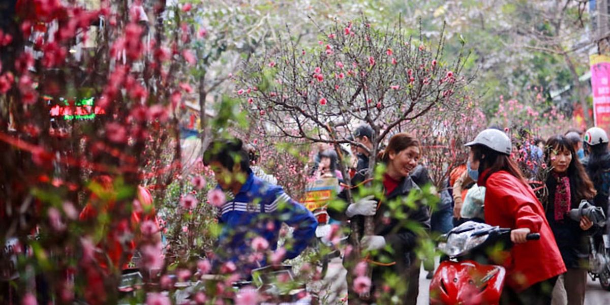 Número de turistas y costos de viaje en Vietnam en febrero